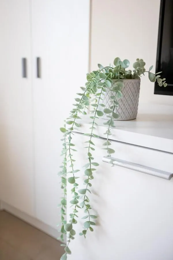 Dona Concha Alameda Apartment Seville